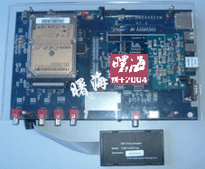 �_������̖6446�_�l(f��)��